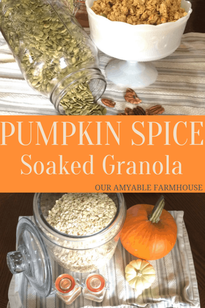 pumpkin spice soaked granola #recipes #wholefoods #thm #soaked #pumpkin #breakfast #granola #healthy #homemade #fromscratch #simple #easy