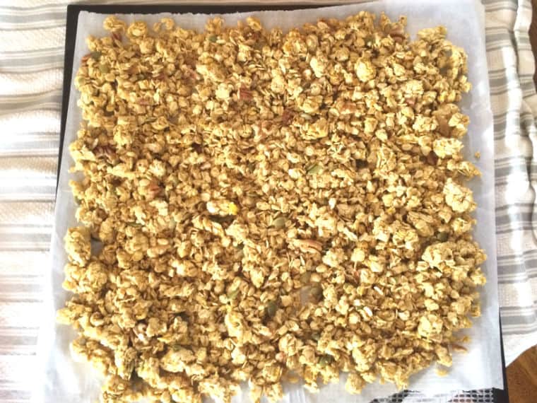 homemade granola soaked dehydrated