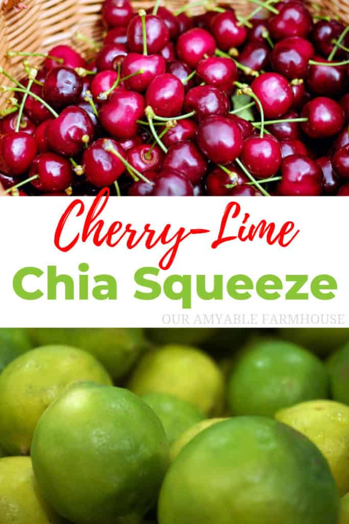 cherry lime chia squeeze fun easy snack healthy kids #foodie #healthy #fromscratch #chia #cherry #lime #chiasqueeze #healthysnacks #kidsnacks #healthykids
