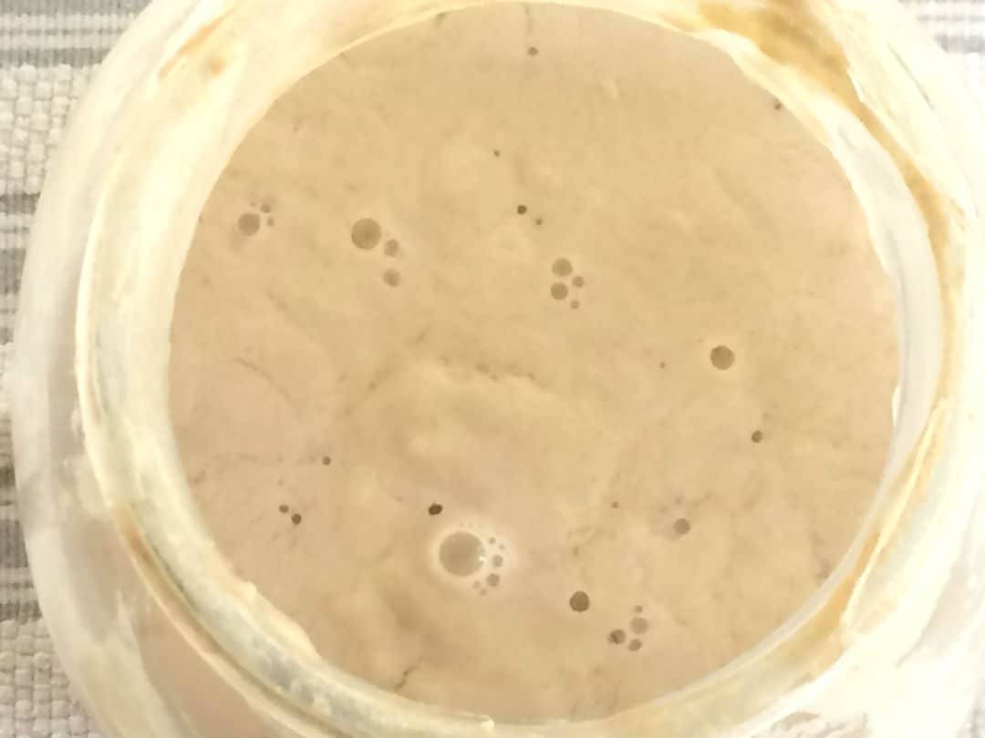 from scratch sourdough starter wild ferment active bubbly foodie healthy whole foods