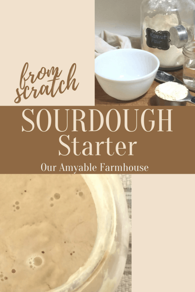 sourdough starter from scratch two ingredients simple easy wild ferment