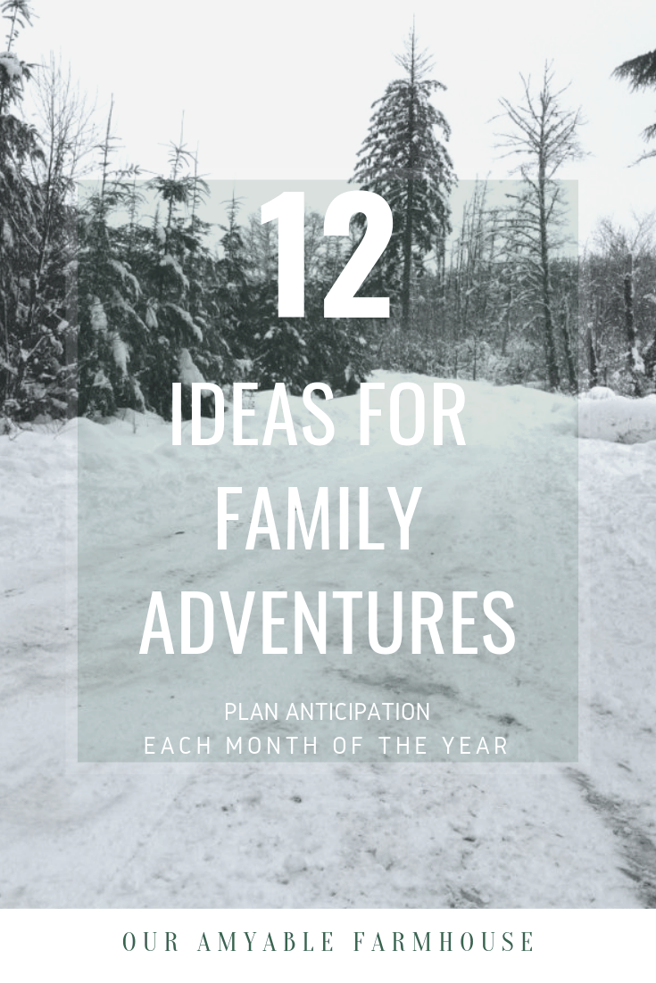family adventures plan anticipation calendar family time