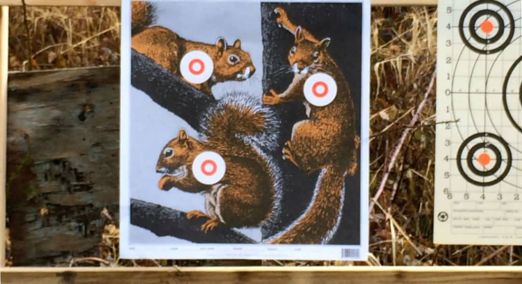 Family Adventures Plinking targets