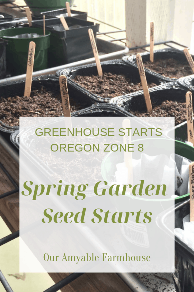 spring garden seed starts greenhouse march vegetables flowers herbs pacific northwest oregon zone 8