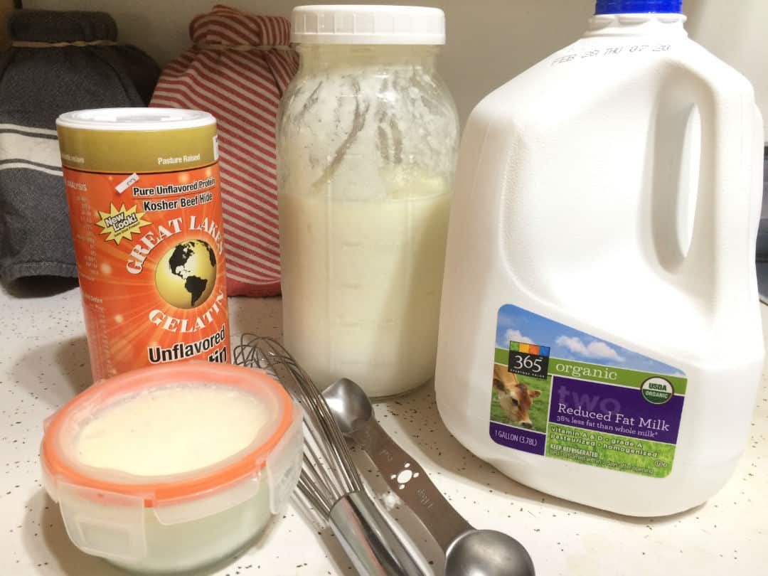 homemade thick yogurt secret ingredient gelatin