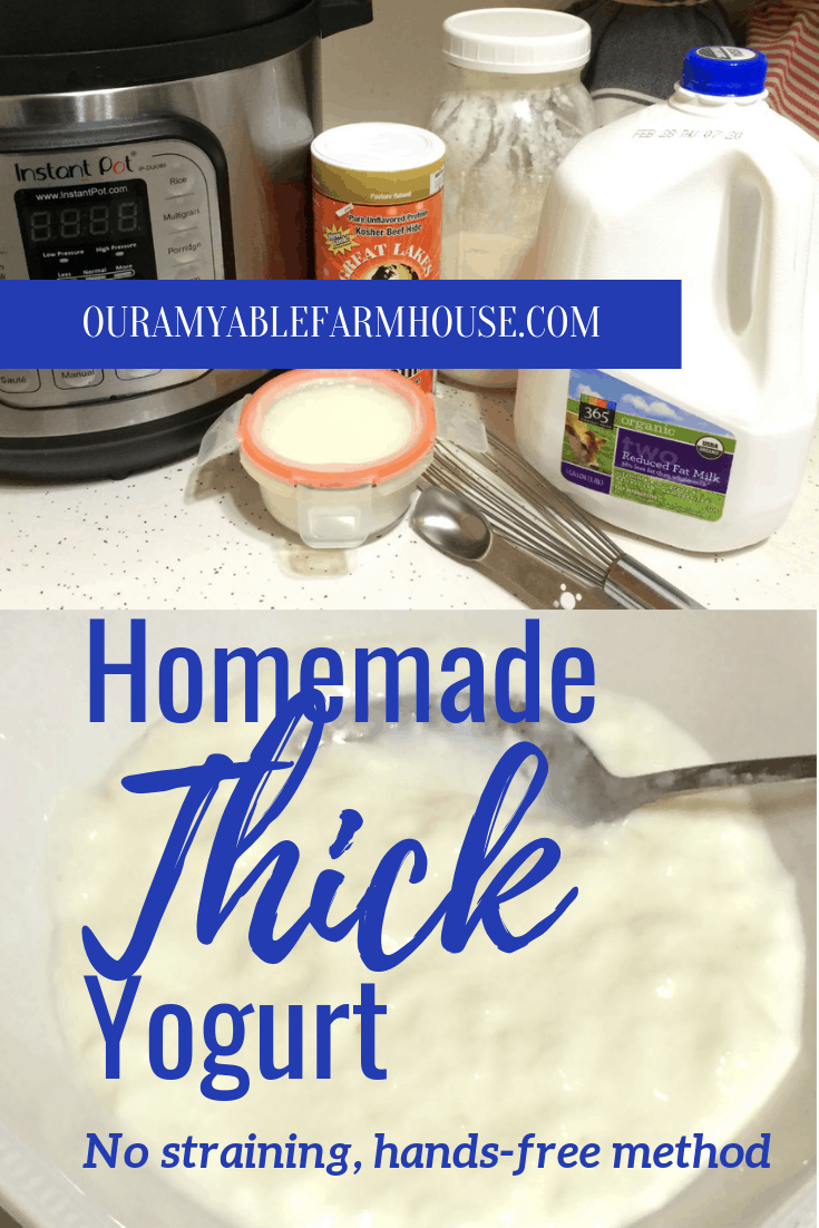 homemade thick yogurt no straining secret ingredient hands-free easy simple cultured dairy