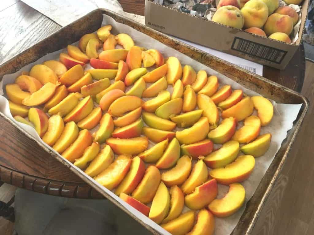 How to freeze peaches. Rimmed pan with peaches slices in a single layer.