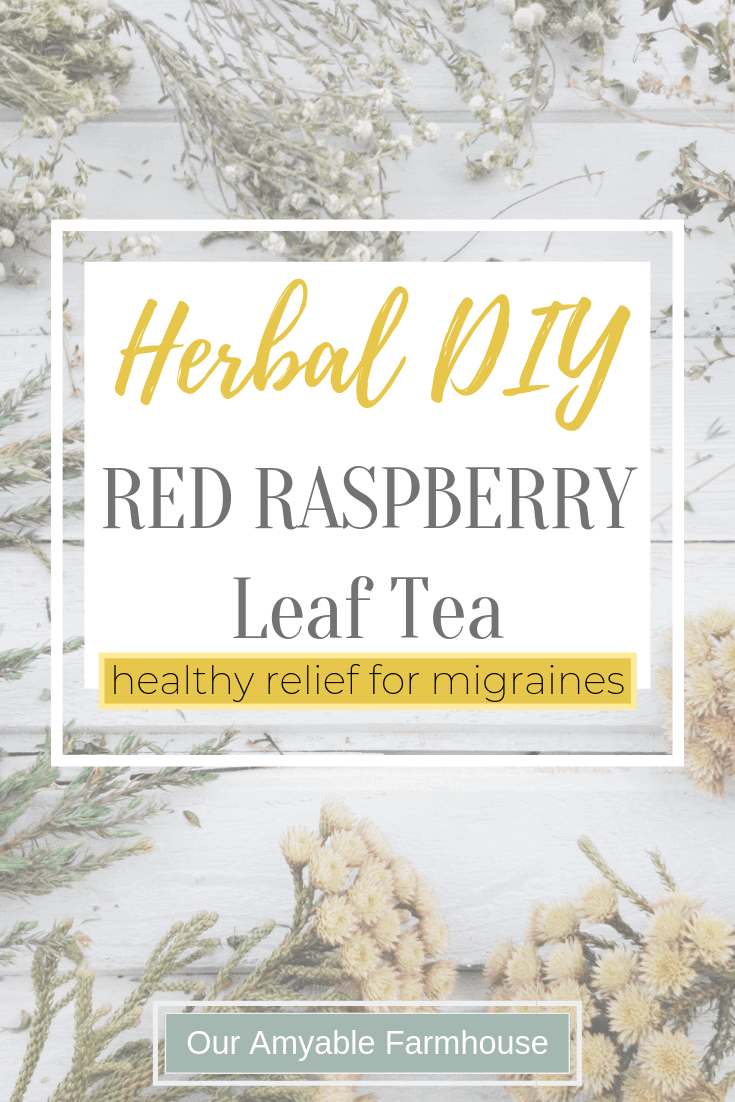 herbal DIY red raspberry leaf tea. healthy relief for migraines. Our Amyable Farmhouse. Herbs and flowers.