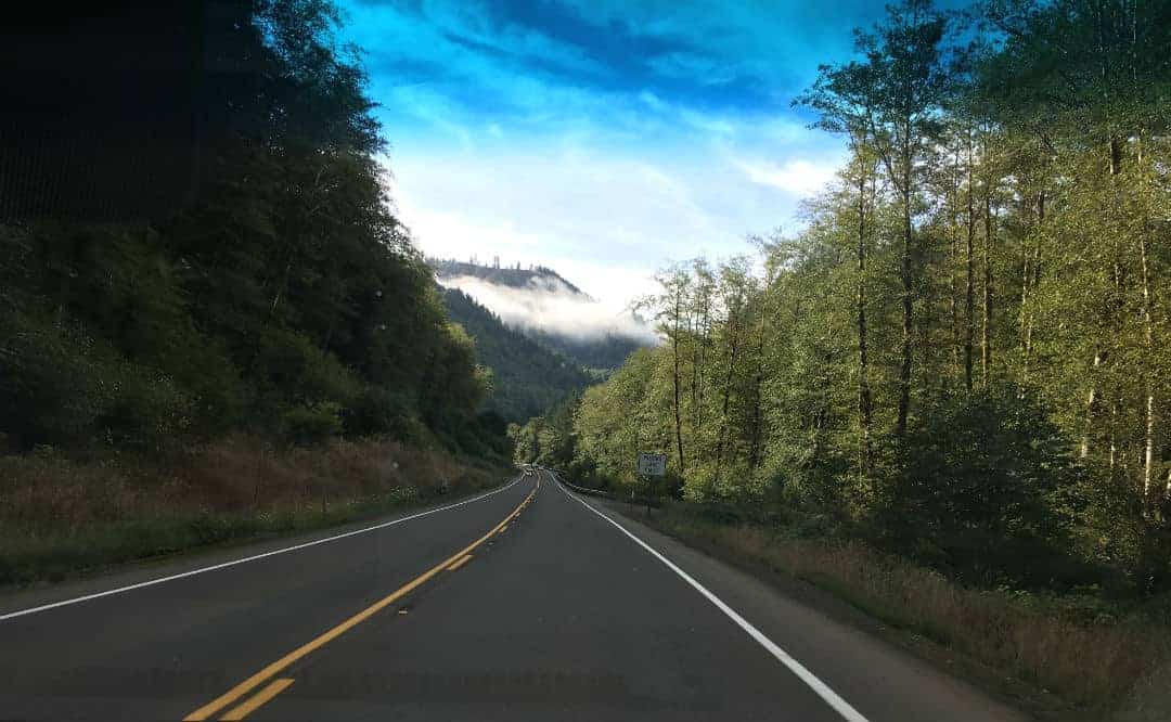 Driving through Tillamook State Forest
