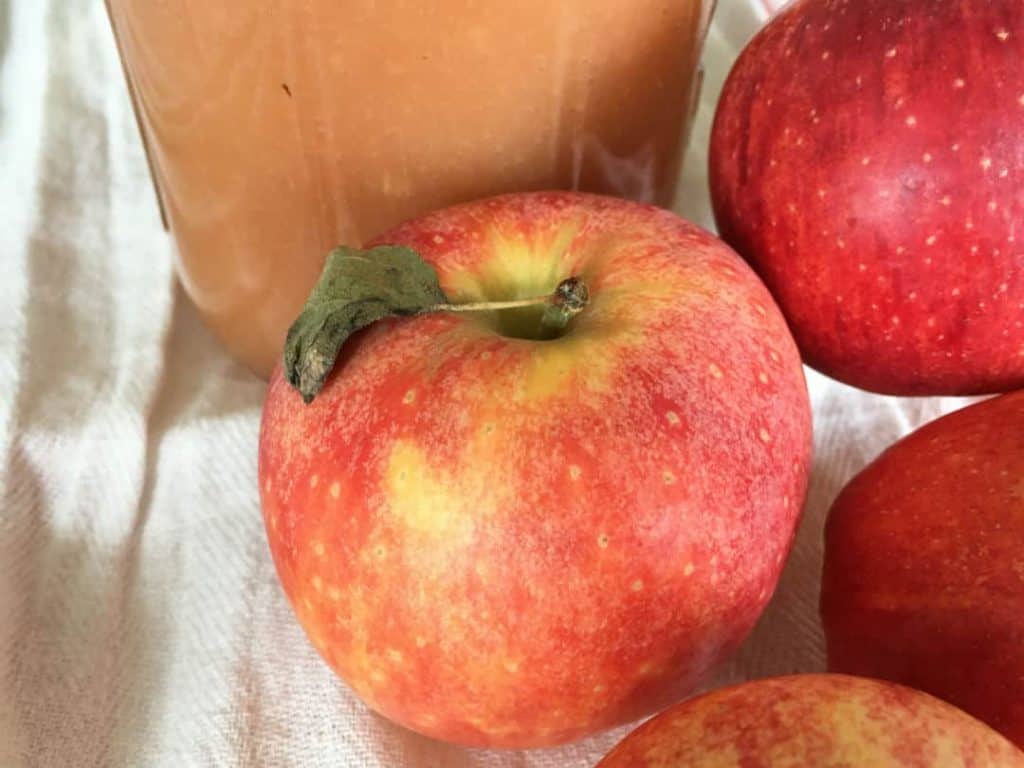 Farmhouse Applesauce organic ingredients