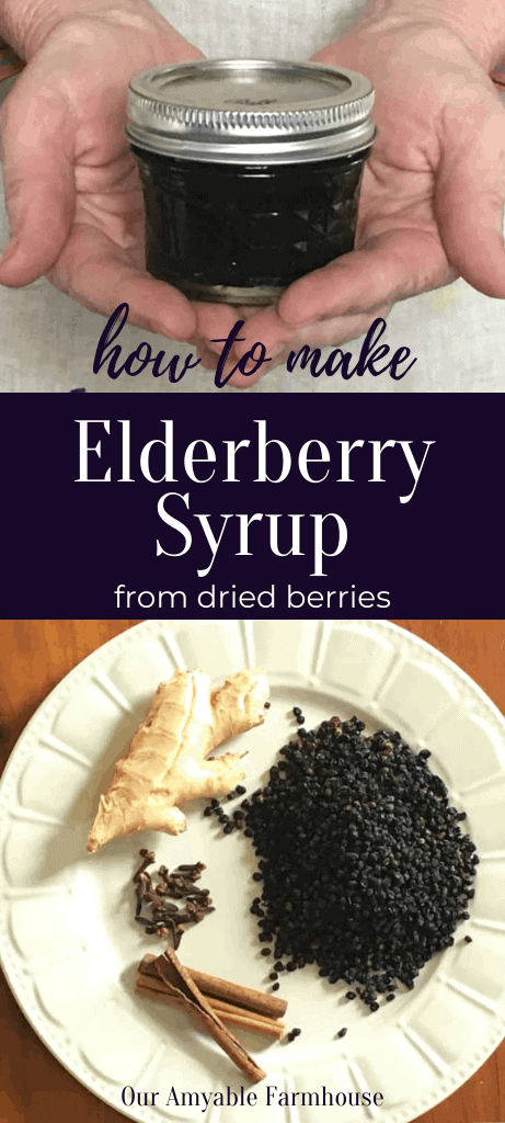 Hands holding a jar of homemade elderberry syrup. How to make elderberry syrup from dried berries. White plate of organic dried elderberries, cinnamon stick, dried cloves, and organic ginger root. Our Amyable Farmhouse.
