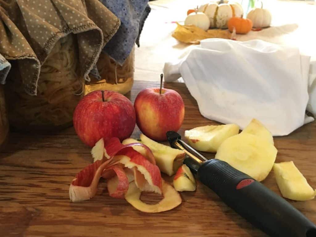 apple scraps to raw vinegar with mother culture