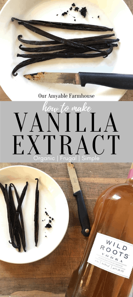 White plate of dark vanilla beans with scattered bean paste, pairing knife. Our Amyable Farmhouse. How to make vanilla extract. Organic. Frugal. Simple. Plate of vanilla beans, pairing knife, and a bottle of organic vodka.