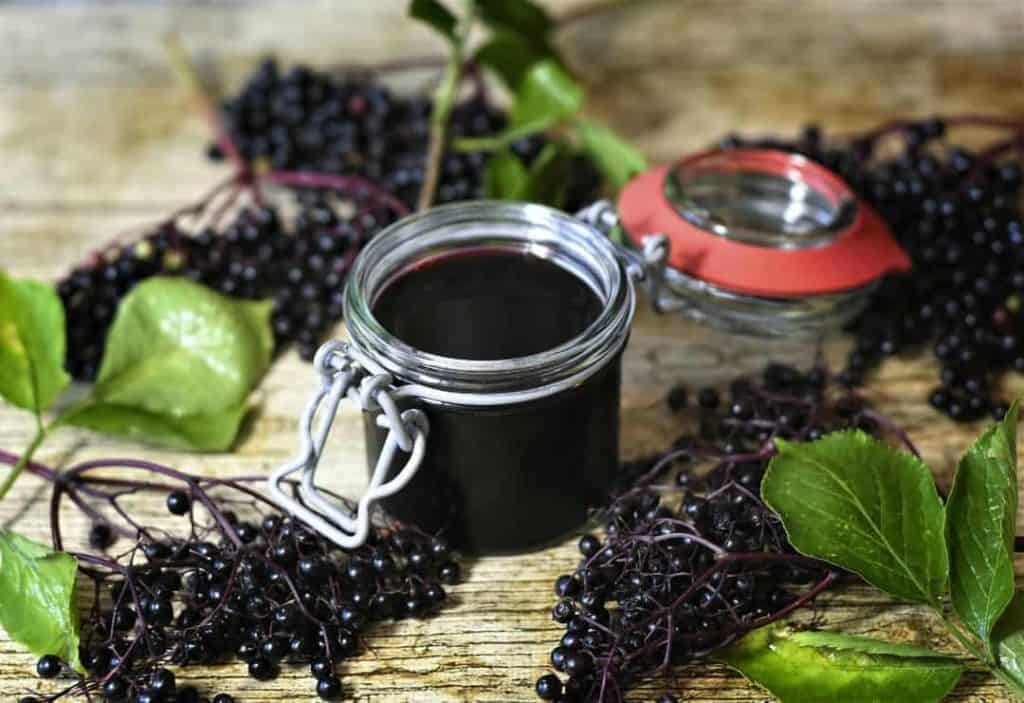 Homemade elderberry syrup healthy herbal remedy for colds and flus