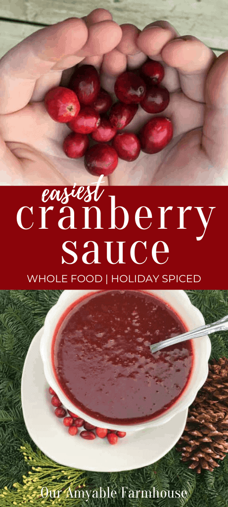 Easiest Whole Food Spiced Cranberry Sauce. Fresh cranberries to sauce. Our Amyable Farmhouse.