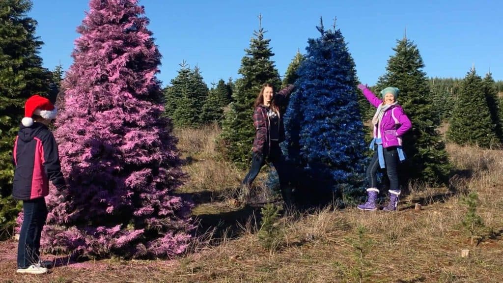 Family adventures a Christmas tree for the farmhouse girls and whoville trees