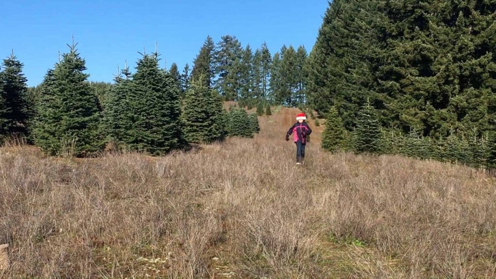 run through the field