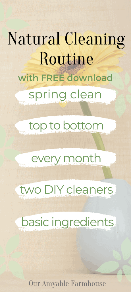 Natural cleaning routine with free printable action guide and recipes for DIY cleaners. Our Amyable Farmhouse.