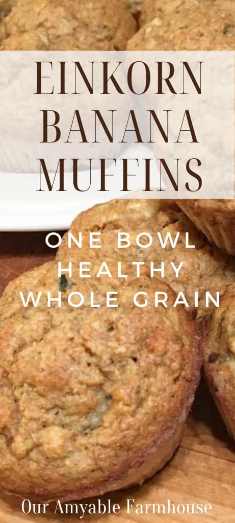 Close up picture of homemade muffins spilling off a plate. Einkorn banana muffins. One bowl. Healthy. Whole grain. Our Amyable Farmhouse.