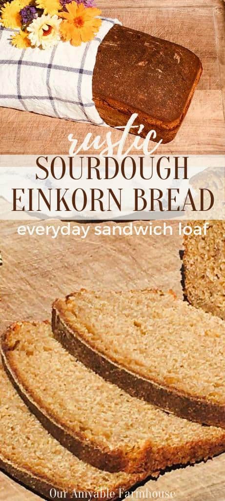 A loaf of bread wrapped in a farmhouse tea towel. Rustic Sourdough Einkorn Bread. Everyday sandwich loaf. Slices of bread. Our Amyable Farmhouse.